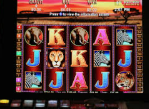 333体育官网下载免费版