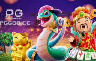 333体育官网下载