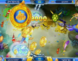 333体育官网下载最新版