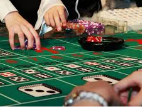 333体育官网下载2024最新版